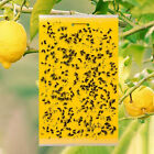 5 Yellow Sticky Fly Trap Insect Catcher Traps Paper Killer Glue Fruit Flies Wasp
