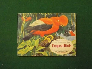 Brooke Bond Tea Cards Tropical Birds 1961 Complete Set in Album - Picture 1 of 3