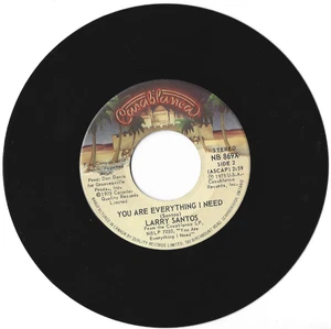 1975-LARRY SANTOS-LONG, LONG TIME & YOU ARE EVERYTHI-CASABLANCA 45RPM 7'' RECORD - Foto 1 di 2