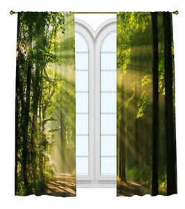 Forest Printed Curtain / 2 Panels - Sunlight breaking through the trees