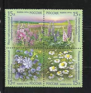 RUSIA. Año: 2014. Tema: FLORA. FLORES SALVAJES. - Imagen 1 de 1