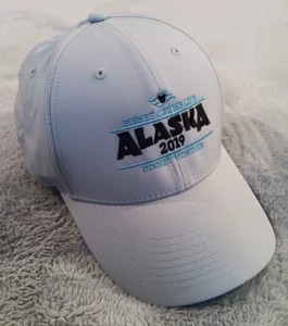 Disney Cruise Line DCL 2019 Alaska Gray Baseball Hat Cap Youth Nike Dri-fit - Picture 1 of 4