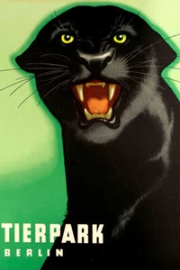 Panther Zoo Berlin Germany 1980 Original Vintage Wall - POSTER 20x30 - Picture 1 of 4