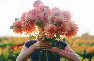 Puñado de dalias, "Terracotta", 2019 --Postal nueva - Imagen 1 de 2