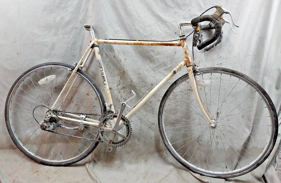 Bicicleta de carretera de carreras Gan Well 1984 vintage 58 cm grande triple tope acero rara Japón Foto 1 de 4