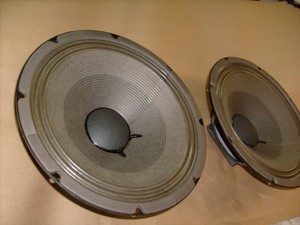 12 alnico speaker