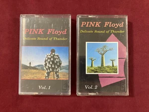 Pink Floyd Delicate Sound of Thunder 2 Vol. Made in Turkey 1989 RARE - Picture 1 of 4