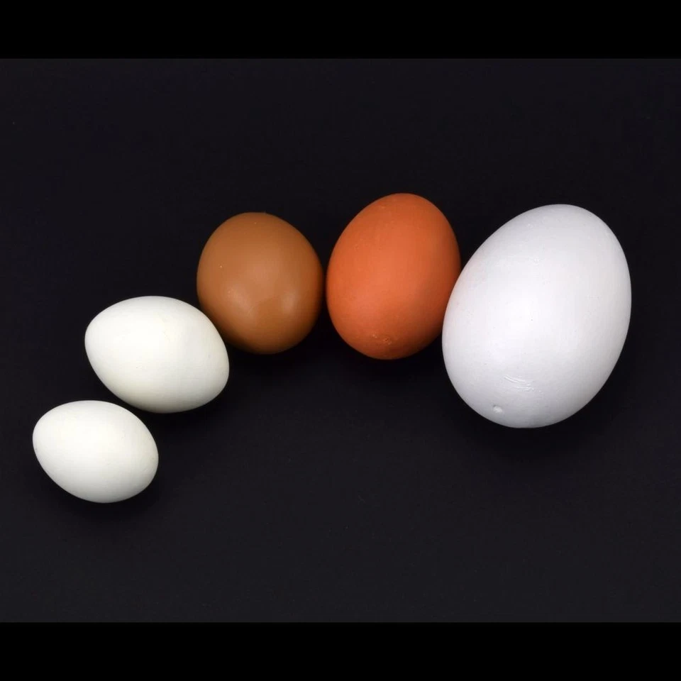 Legeeier Kunsteier Nesteier Gipseier Fasanen Hühner Tauben Gänse Enten Eier - Bild 1 von 1