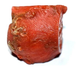 Piedra preciosa áspera de coral rojo natural de 32,20 quilates sin tratar con certificación AGL - Imagen 1 de 5