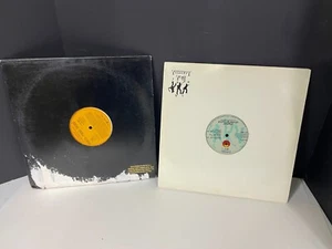 Digital Underground Lot (2) ~ Walk Real Kool, Dowutchalike Promo Vinyl 12 Inch - Picture 1 of 5