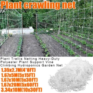 Plant Support Netting Fruit Climbing Mesh Garden Vegetable Pea Bean Grow Fence - Picture 1 of 12