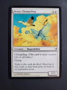 MTG Card - Avian Changeling - Lorwyn (4/301) Regular - Common - NM - Picture 1 of 1