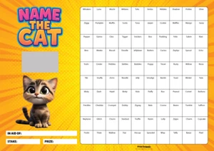 Fundraising Scratch Card Poster – A3 Name the Cat Raffle Charity Sweepstake Game - Picture 1 of 1