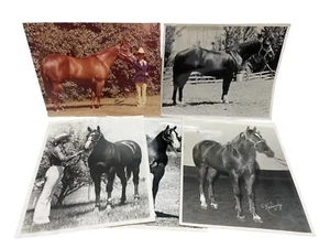 (5) Vintage Western Show Horses Photographs Black & White Color Showmanship - Picture 1 of 11