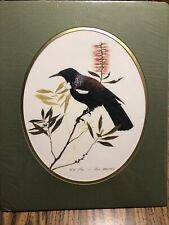 Bird prints by Artist Bill Howard, Matted Nature Wall art, New Zealand Tui