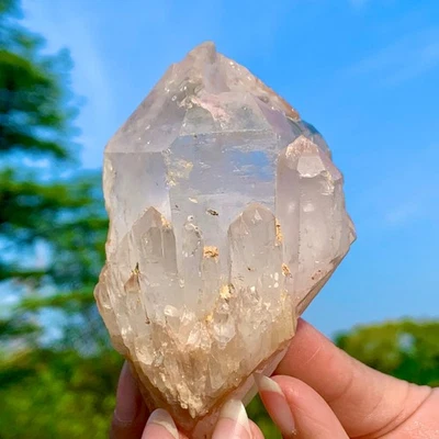 273G Natural Pineapple white backbone Quartz Cluster Point Crystal Healing Decor - Image 1 of 4