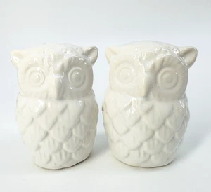 White and Shiny Ceramic Owl Salt And Pepper Shaker Set, 🦉 - Picture 1 of 9