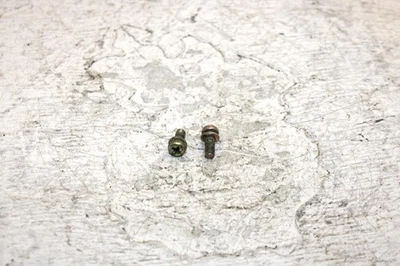 1995 Arctic Cat Z 440 Oem Carb 滑螺丝一对 6505-559 SA13 — 第 1/4 张图片