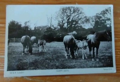 Real Photo Horse Postcard, Horses Grazing, Happy Days, Wildt & Kray - Image 1 of 2