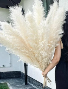 10 Stems 46" Inch White Pampas Grass Decor Tall, Large Pompas Grass, Boho Neutra - Picture 1 of 5