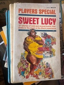 Players Special "Sweet Lucy" 1976 Holloway House Black Authors PB Book - Picture 1 of 3