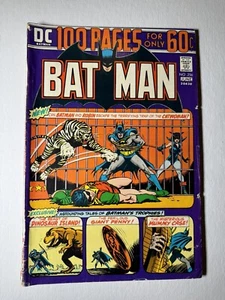 BATMAN #256 1974 100 PAGES CATWOMAN ROBIN VINTAGE BRONZE AGE DC COMICS! - Picture 1 of 2