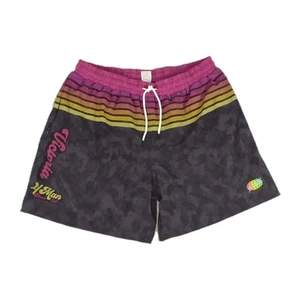 Costume da bagno Slunks Victoria foderato disegno perizoma pantaloncino uomo 3XL abbigliamento spiaggia nuovo senza etichette - Foto 1 di 12