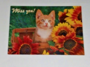Postkarte Miss You Katze Kätzchen in Blumen Vintage 2004 kostenloser USA Versand - Bild 1 von 4