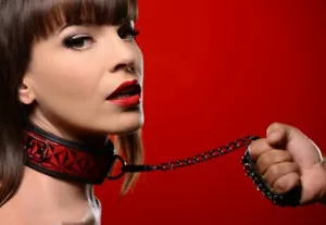 Halsband mit Leine Halskette Halsfesseln SM Bondage Erotik rot schwarz BDSM - Bild 1 von 6