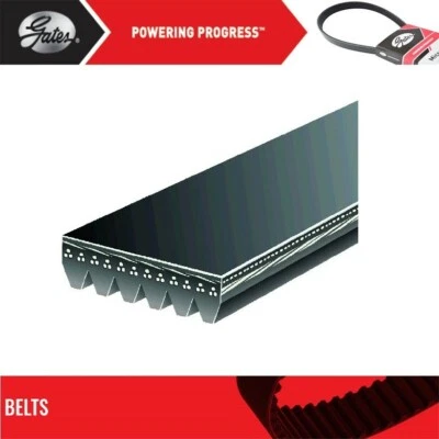 Serpentine Belt Gates For 2012-2013 CHEVROLET IMPALA V6-3.6L - Image 1 of 4