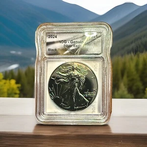 2024 ICG American Silver Eagle Black Ruthenium Edition. 1 oz Silver **1 of 500** - Picture 1 of 4