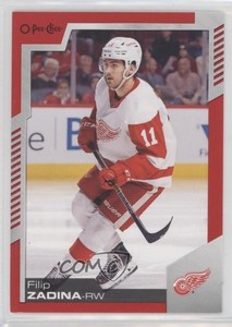 2020-21 O-Pee-Chee Red Border Blank Back 1/1 Filip Zadina #313 10e3