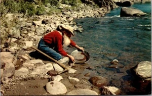 Postal OLD MINER Panning for Gold CALIFORNIA CA c1971 - Imagen 1 de 2