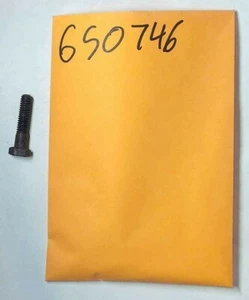 Tecumseh Screw 650746 US Seller - Picture 1 of 1