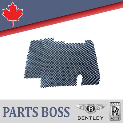 Bentley Rolls Royce 1971-1996 OEM NEW Air Intake Plenum Grille Front LH - Image 1 of 4