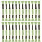 24 Stränge Stickgarn je 8m aus ägyptischer langfaseriger Baumwolle Hellgrün