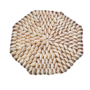 Carib Cowrie Seashell Trivet Octagon Handmade Philippines Decorative Nautical - Picture 1 of 6