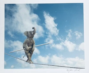 two signed John Lund elephant prints 13x19(-ish) - Picture 1 of 3