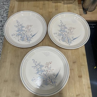 3 platos de cena Noritake Keltcraft Ireland Kilkee 10 1/2" #9109 mariposa floral Foto 1 de 4