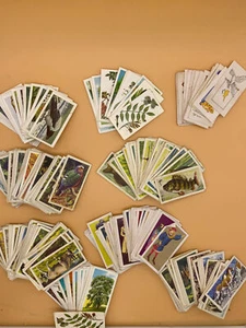 Bundle of Over 300 Vintage Brooke Bond Tea Collectible Cards Inc. Animals, Birds - Picture 1 of 22