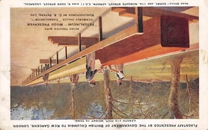 ANUNCIOS POSTALES PRESERVADOR DE MADERA PETERLINEUM C A PETERS LONDRES KEW GARDENS - Imagen 1 de 2