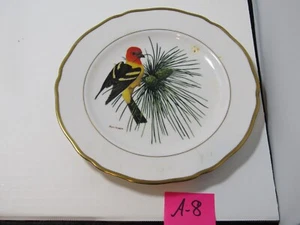A8 WESTERN TANAGER OLD AMERICAN SONGBIRD BONE CHINA PLATE RAY HARM - Picture 1 of 2