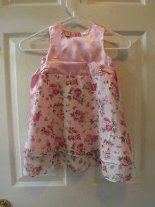 Baby Togs Pink Satin & Sheer Floral Party Dress 2T NWOT Easter - Picture 1 of 3