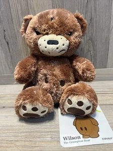 Kozik Wilson l'orso più scontroso peluche orsacchiotto kidrobot raro - Foto 1 di 5