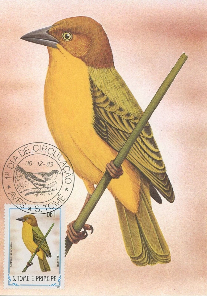 First Day Cover Postcard Bird Pade Campo Xanthophilus Princeps 1983 - Image 1 of 1