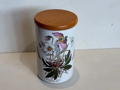 Bote Jardín Botánico Portmeirion Helleborus Niger Rosa de Navidad, 8" de Alto Foto 1 de 4