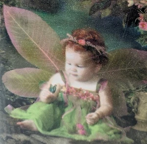 Fairies Fairy Baby Expressions Border Wall Covering 5 Yds Pink Prepasted Faeries - Picture 1 of 4