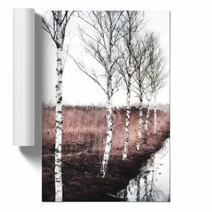 Row Of Birch Trees Unframed Wall Art Poster Print Home Decor Living Room Bedroom - Picture 1 of 4
