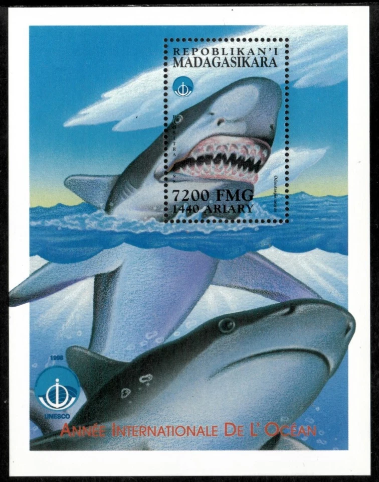 Madagascar 1999 - Tiburones Año del Océano - Hoja de estampillas de recuerdo - Scott #1424 - MNH Foto 1 de 1