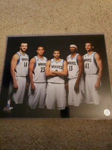 Photo File NBA Minnesota Timberwolves 2013-14 Starting Lineup 16x20 Photo - Picture 1 of 1